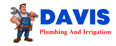 Trusted plumber in DESMET